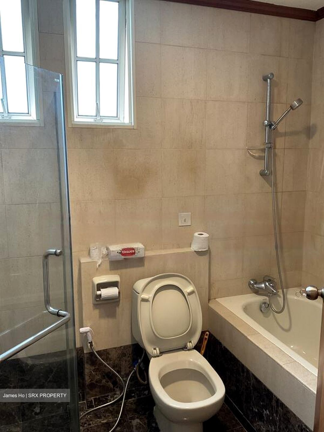 St. Patricks Green (D15), Apartment #461883631